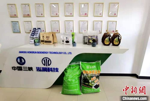 科技賦能長江生態修復 岸上綠意盎然，水中碧波重現